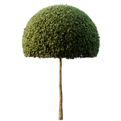 Spherical tree03 — Ver 4