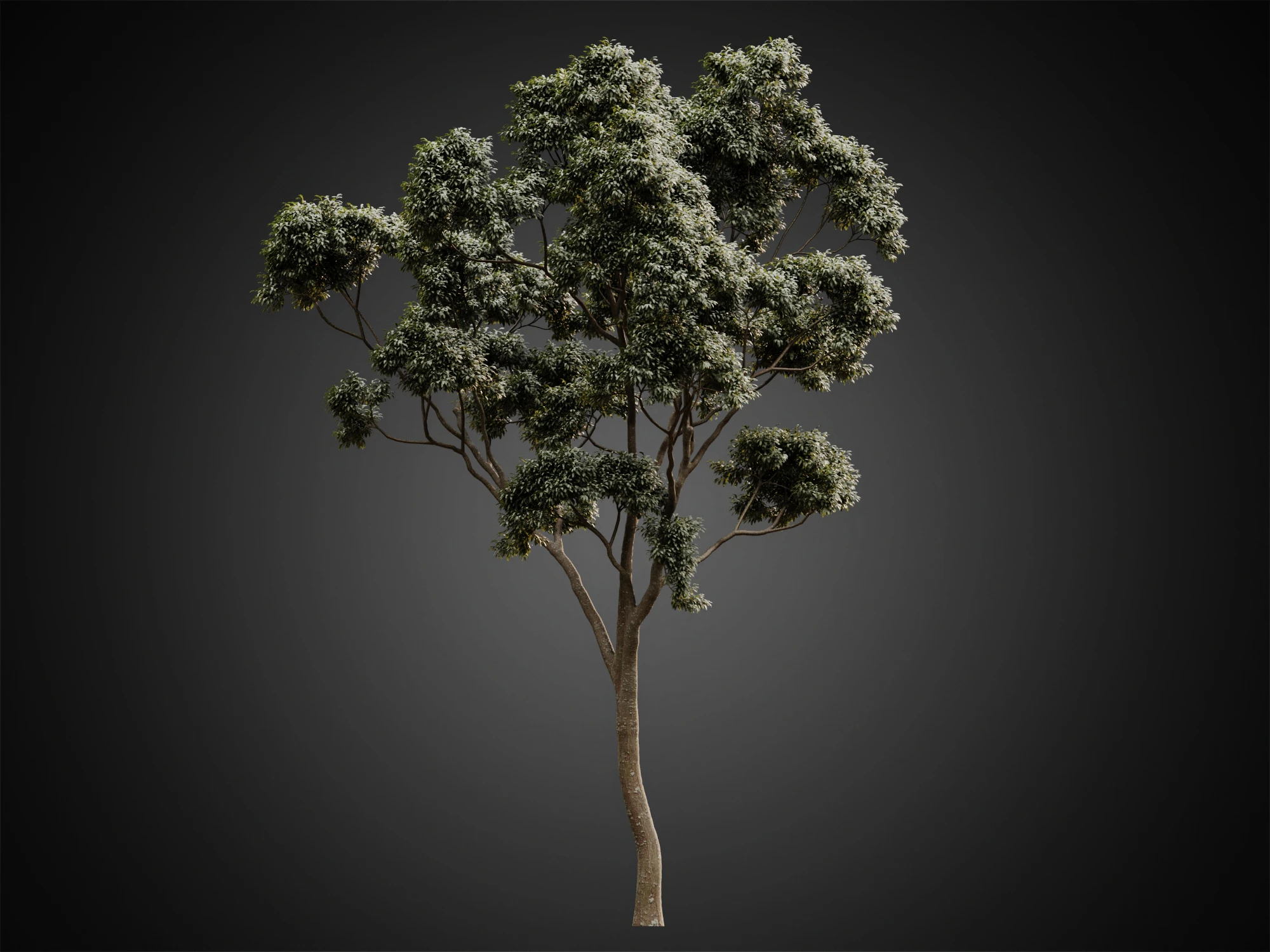 003 — Скачать