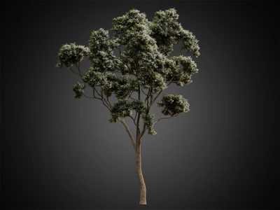 003 — скачать