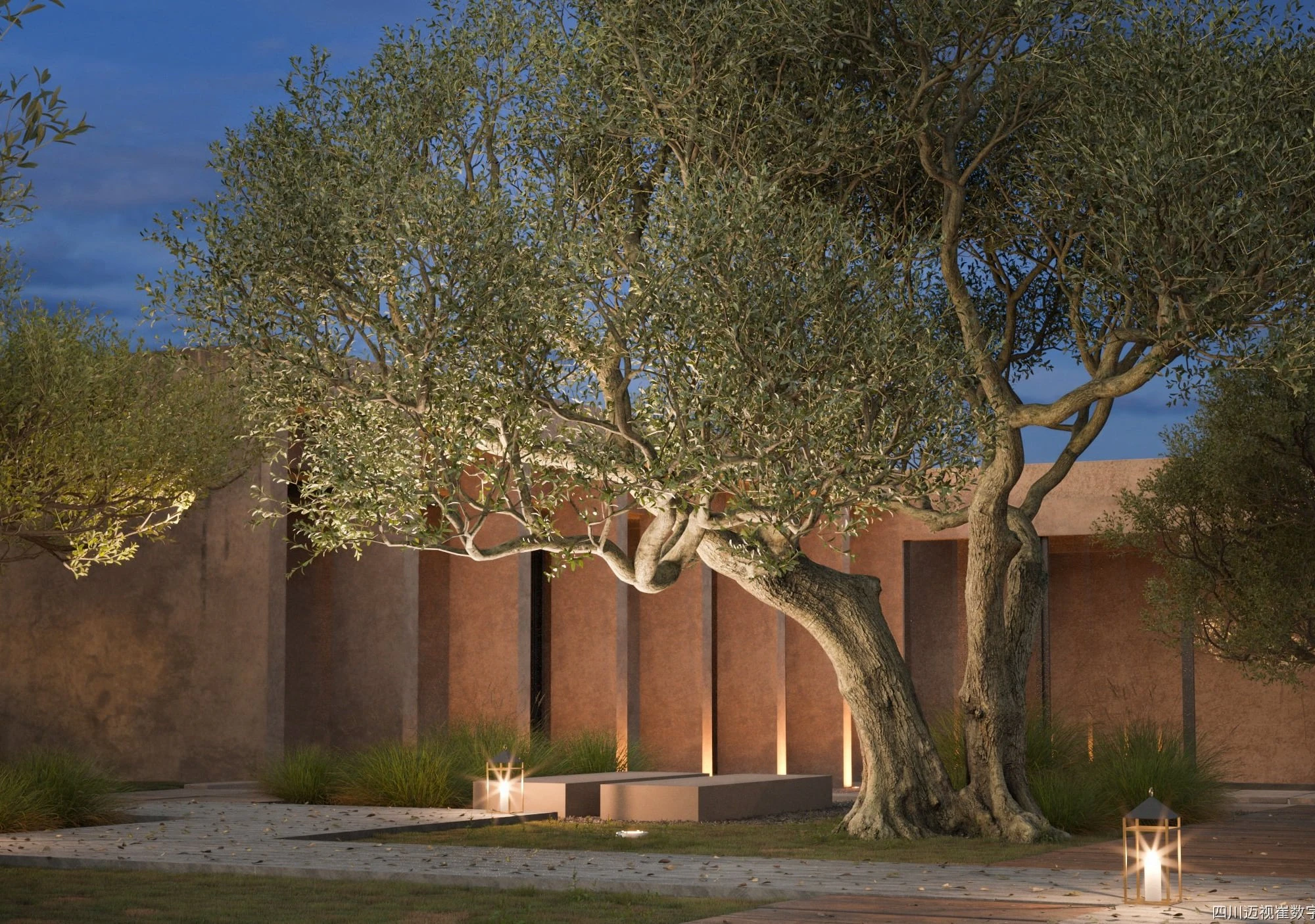 plant models vol 113 — Descargar