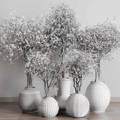 Olive tree in an old earthenware vase indoor collection 182 — Ver 5