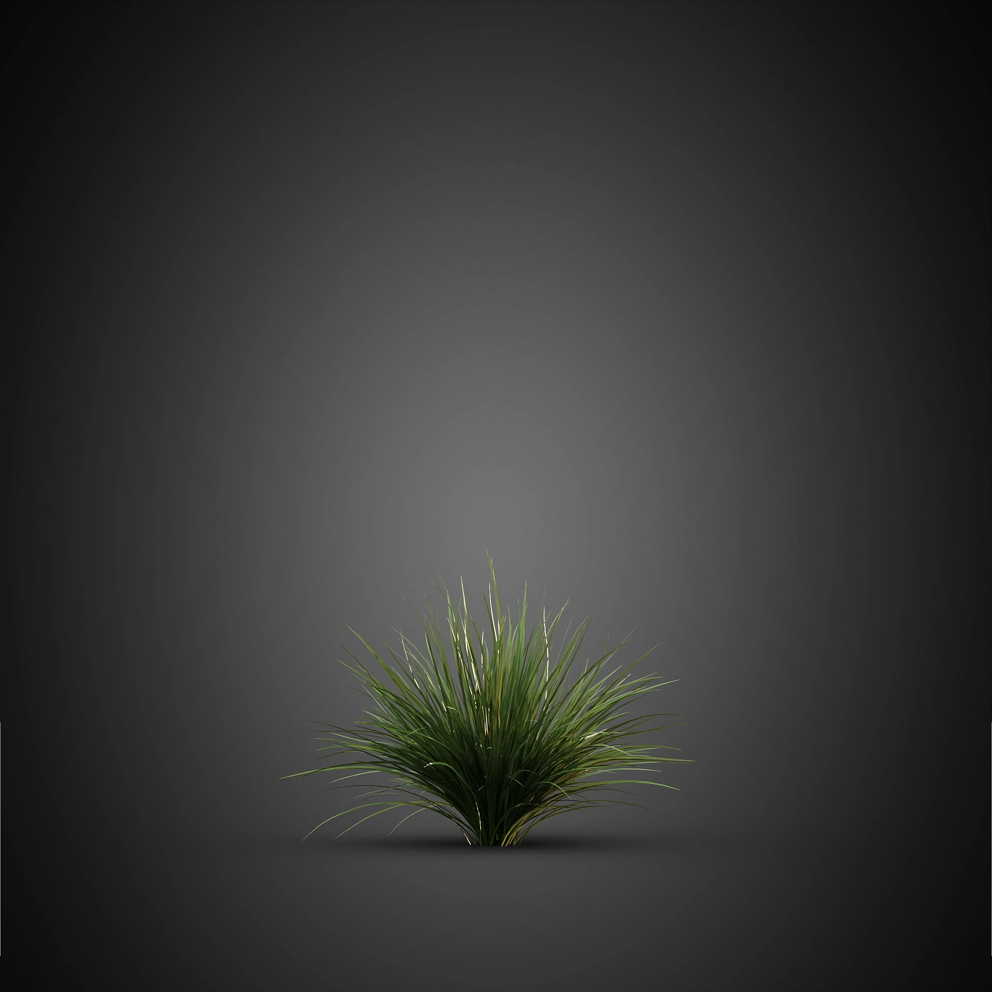 004 — Скачать