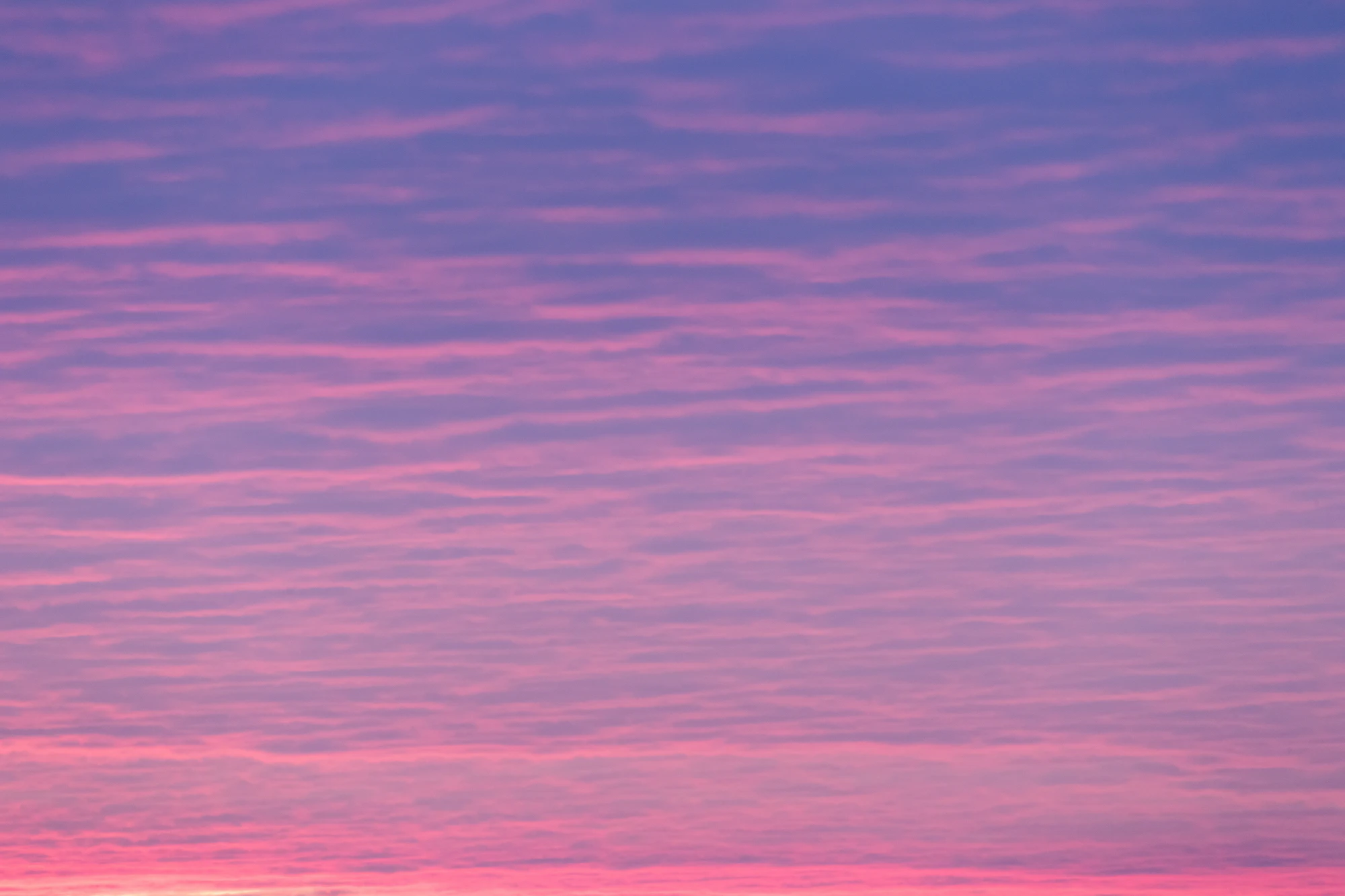 pink sky 004 — Download