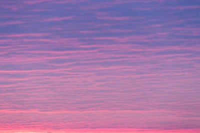 pink sky 004 — download