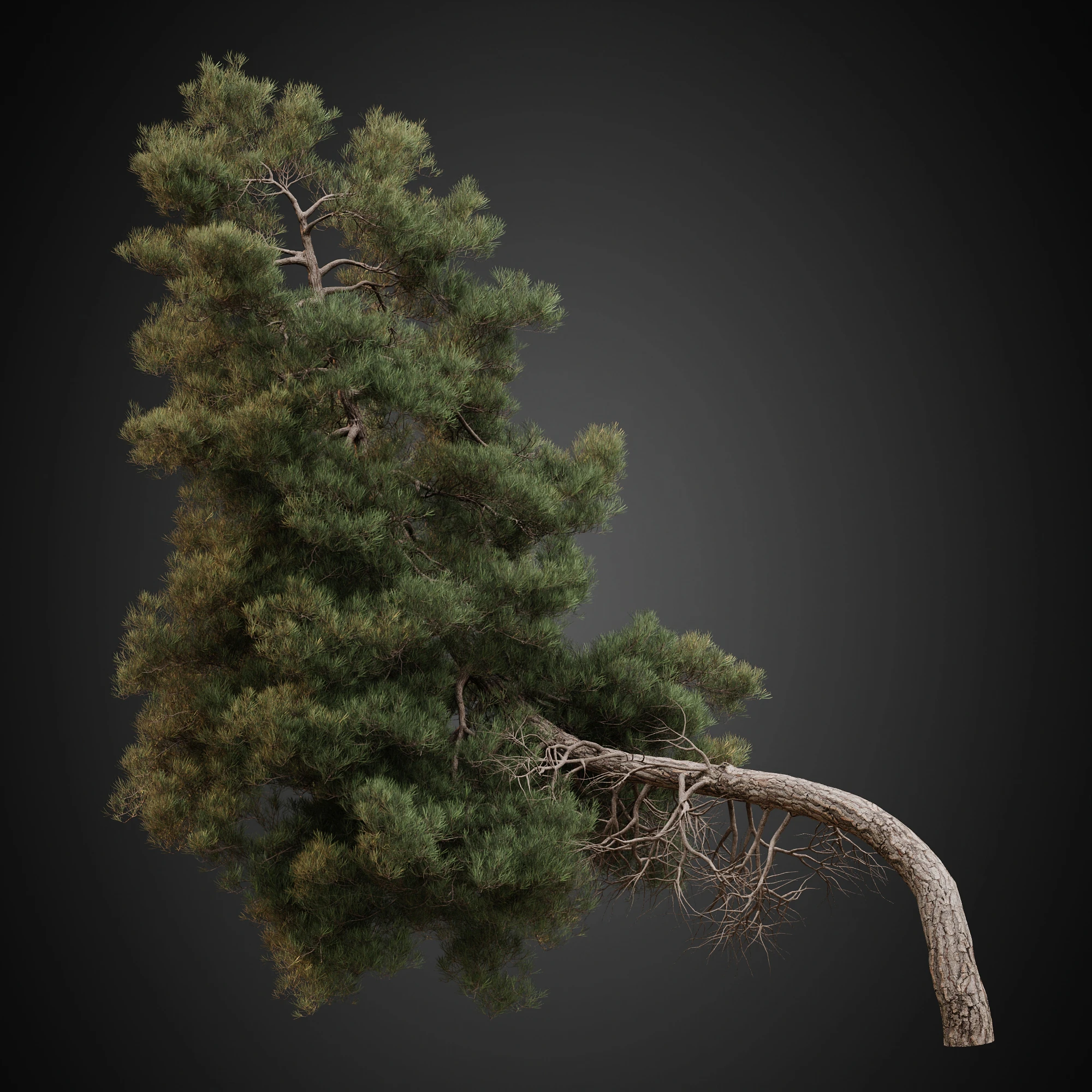 007 — Скачать