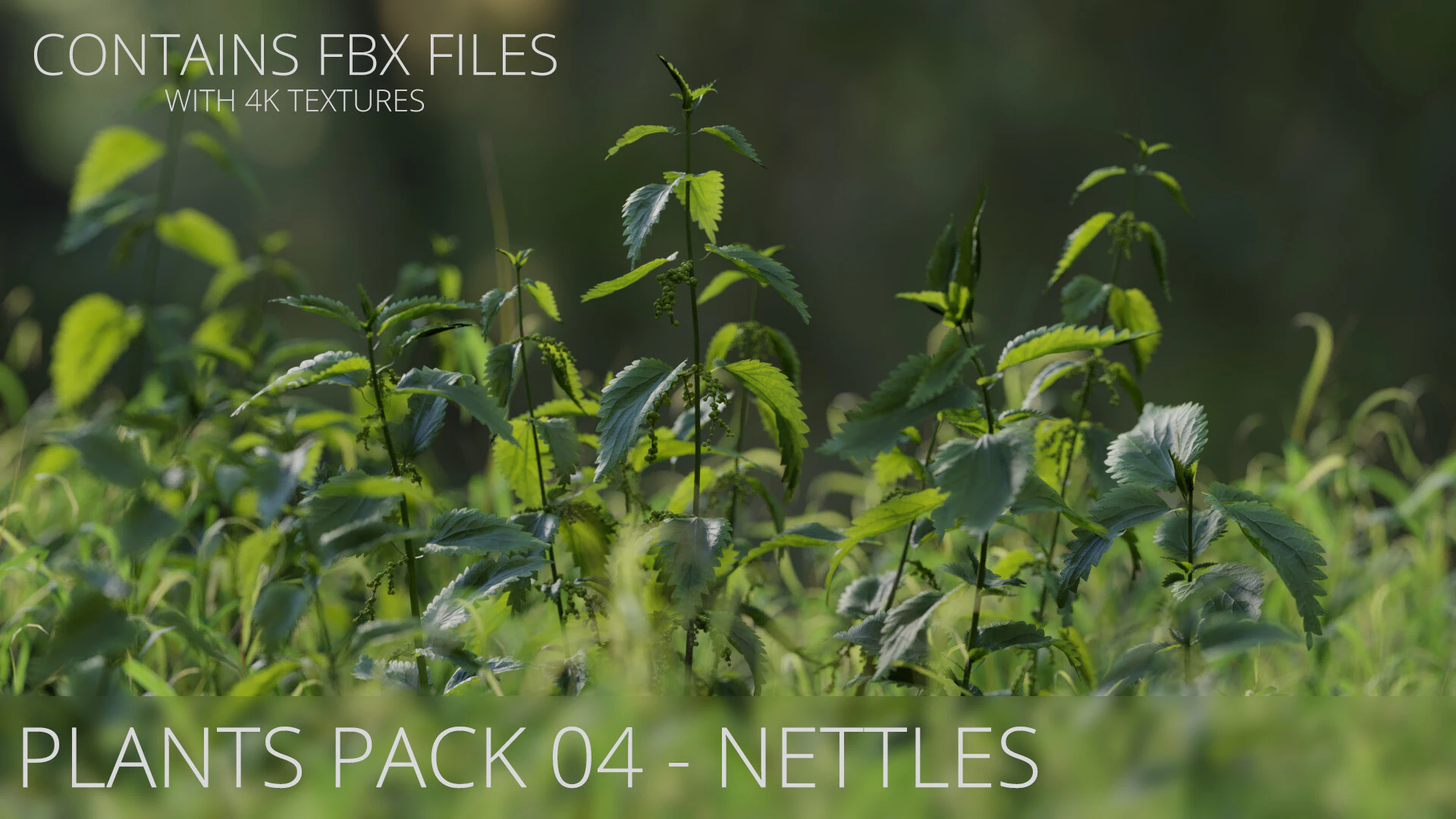 plants pack 004 nettles — Download