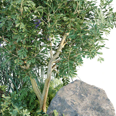 outdoor garden plants collection vol 69 — Вид 5