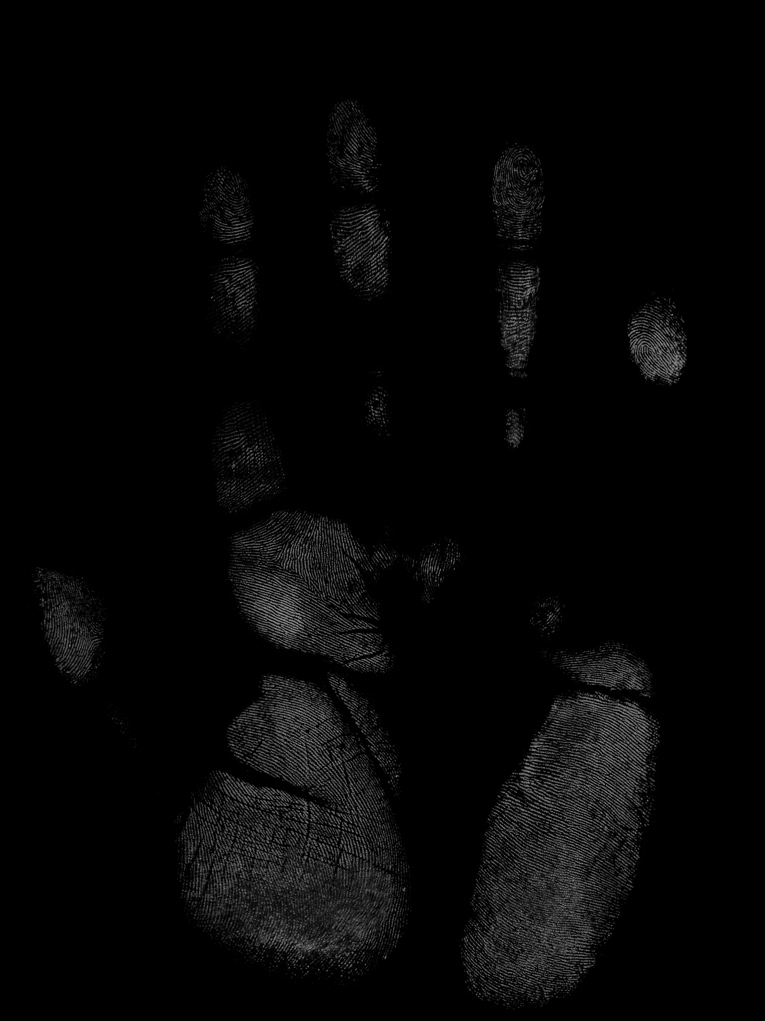 bonus isolatedPalmprint 026 — Download