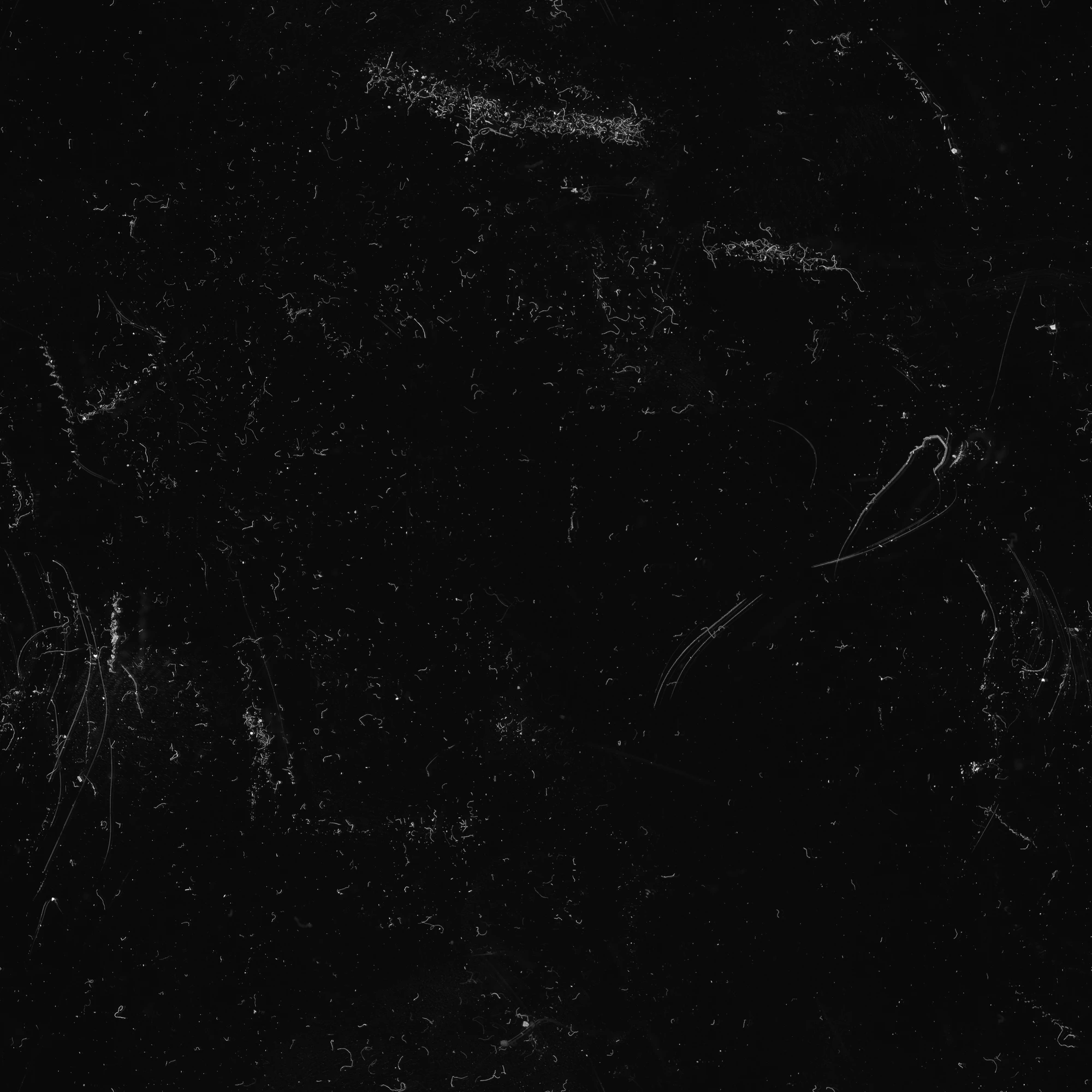 hairs fibres 023 — Download