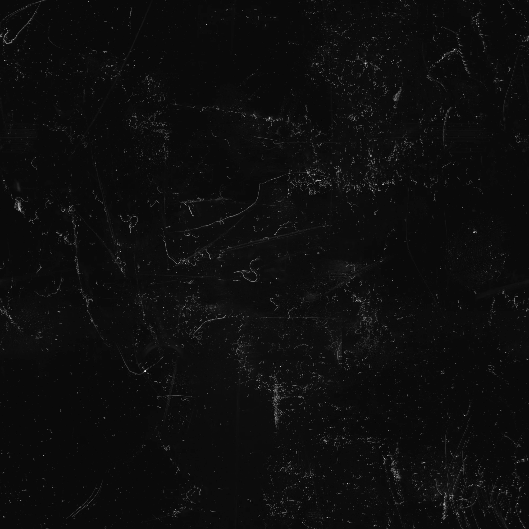 hairs fibres 024 — Download