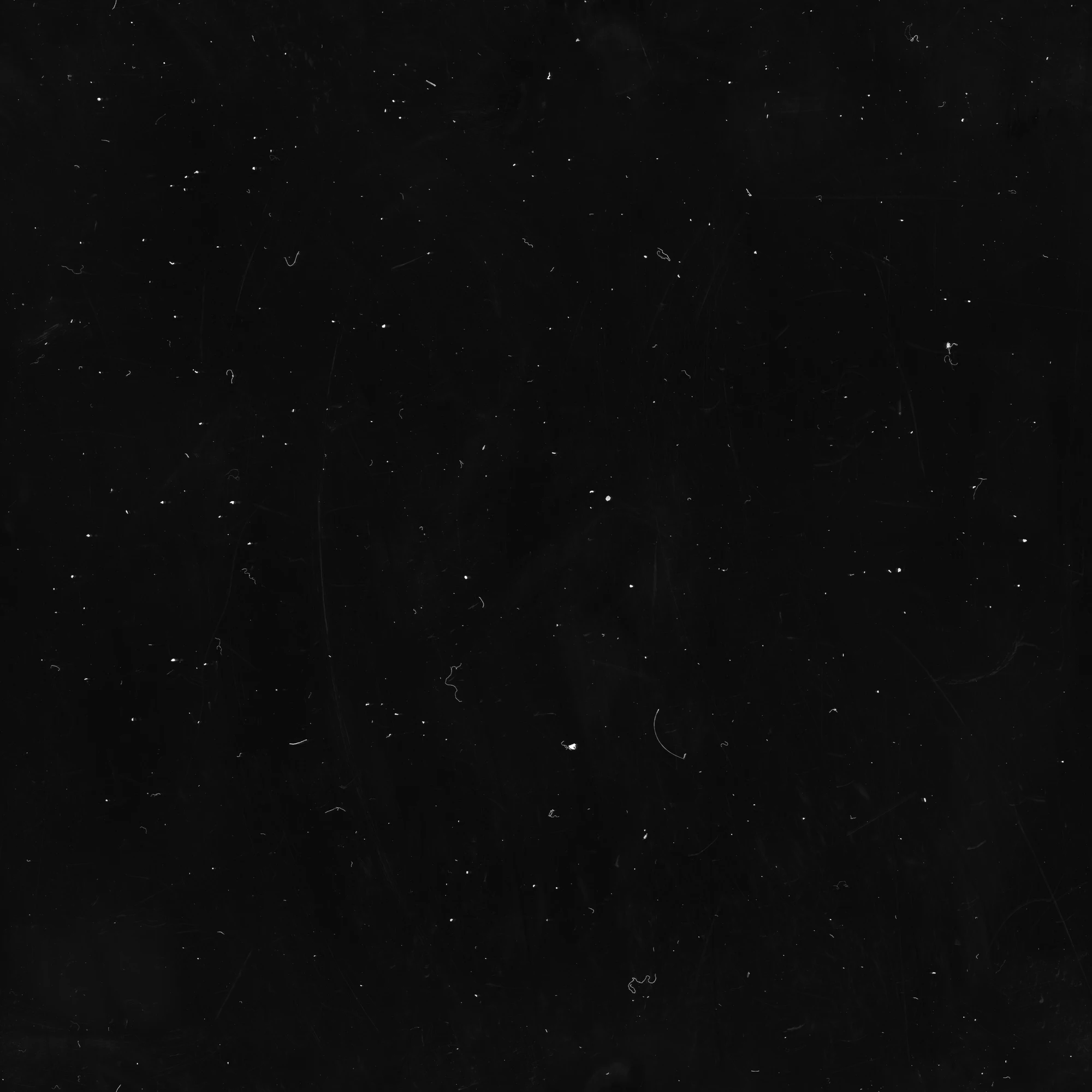 specs hairs 052 — Download