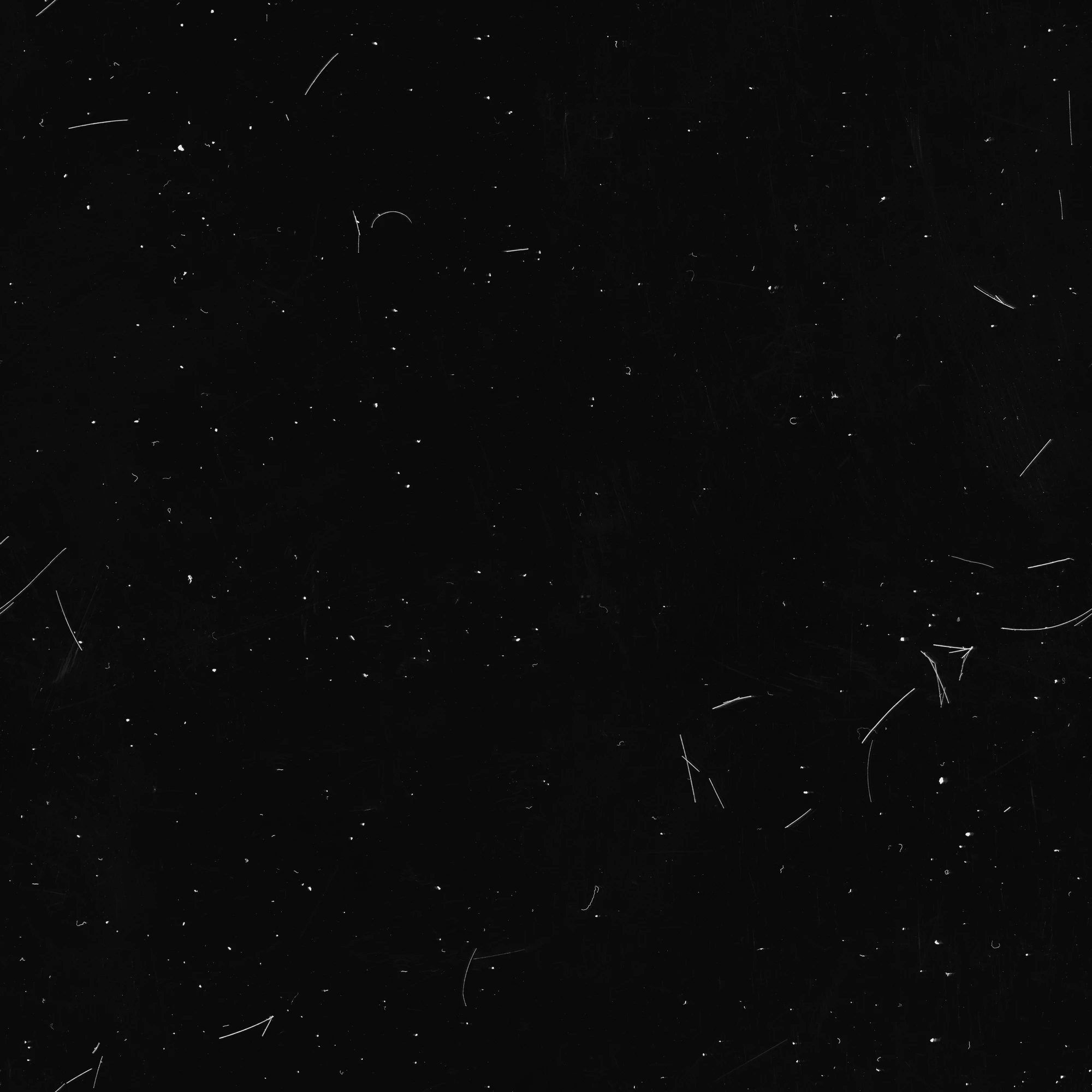 specs hairs 054 — Download