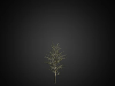 016 — скачать