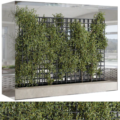 Plants Set Partition In Behind Glass - Ivy Garden Wall Decor Set 116 — descargar