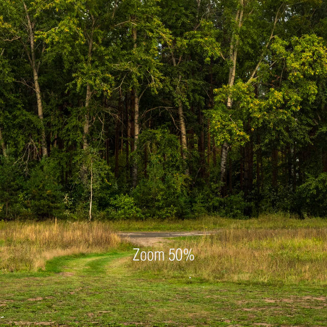 Панорамы с тополями — Скачать