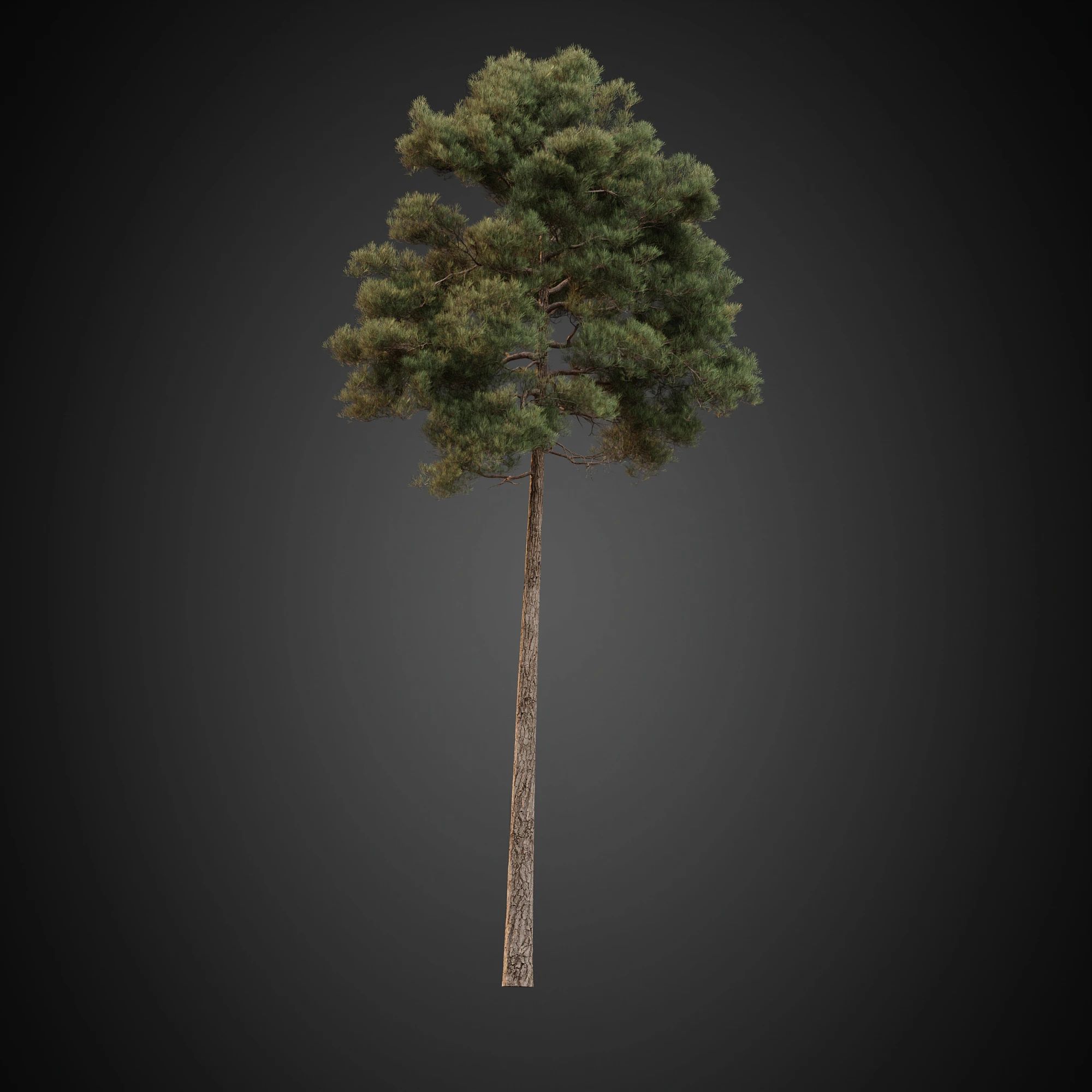 009 — Скачать