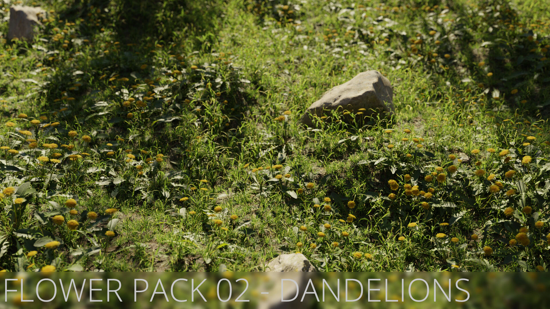 flower pack 002 dandelions — Download