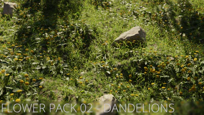 flower pack 002 dandelions — download