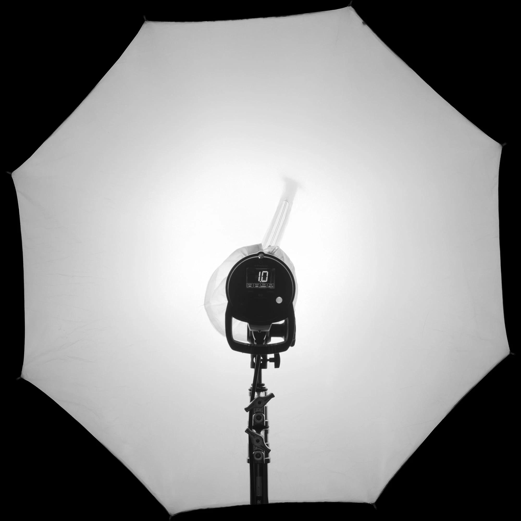 rls026 profoto umbrella lastolite white difuser — Descargar