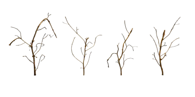 dead weed 002 — download