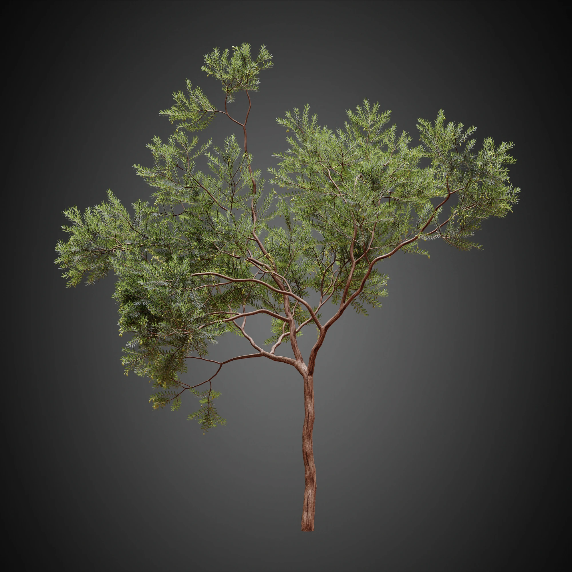 004 — Скачать