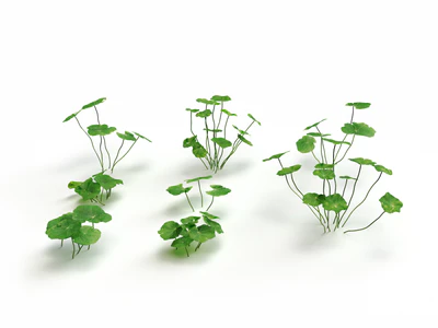 clover set — download