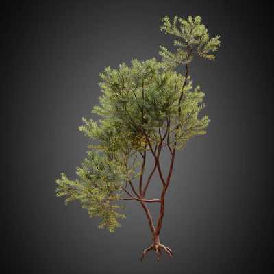 003 — скачать