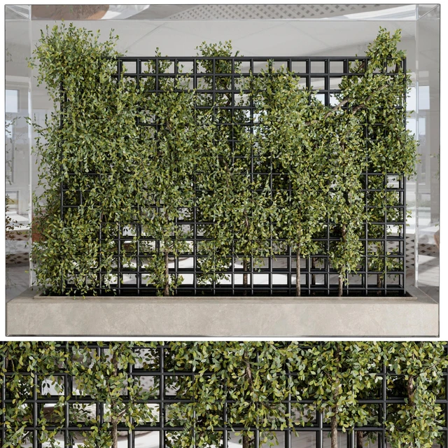 Plants Set Partition In Behind Glass - Ivy Garden Wall Decor Set 116 — Descargar