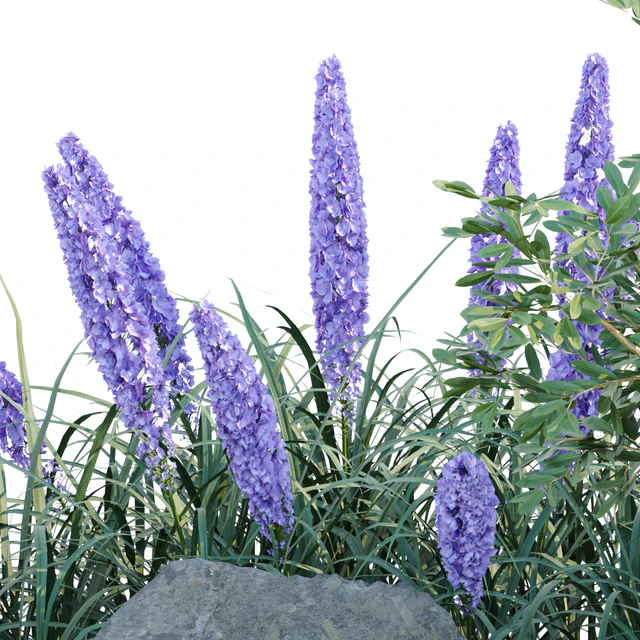 outdoor garden plants collection vol 69 — Скачать