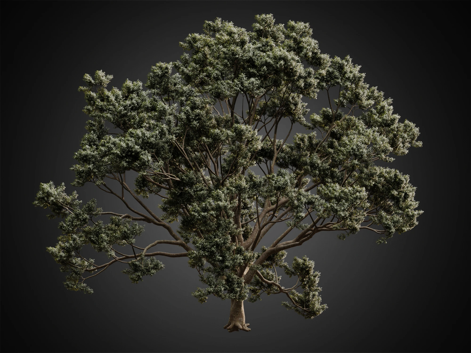 007 — Скачать