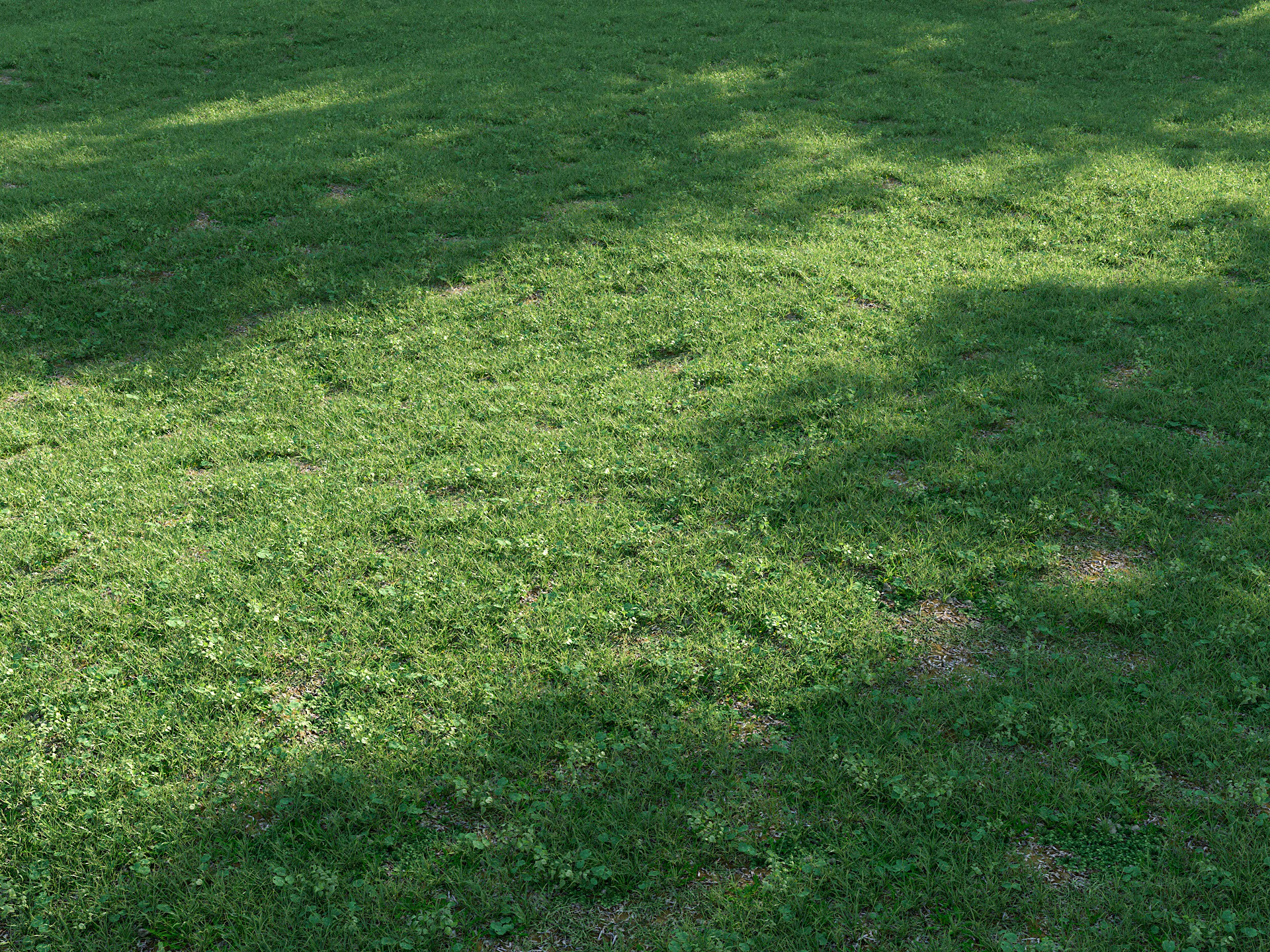 shella grass pack — Download