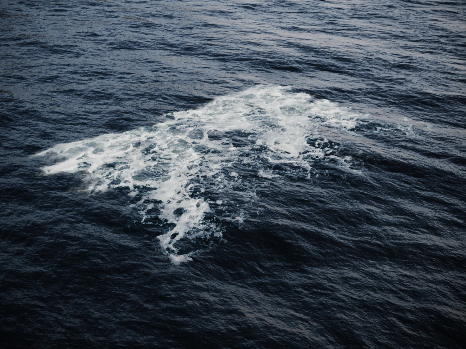 foam 003 — Descargar