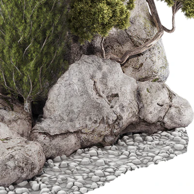 backyard and landscape pine tree garden and rocks 269 — Вид 7