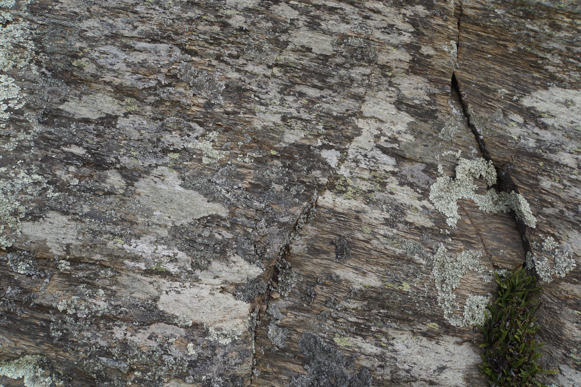 dry field rocks 159 — Скачать