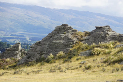 dry field rocks 161 — download