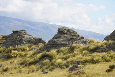 dry field rocks 162 — download