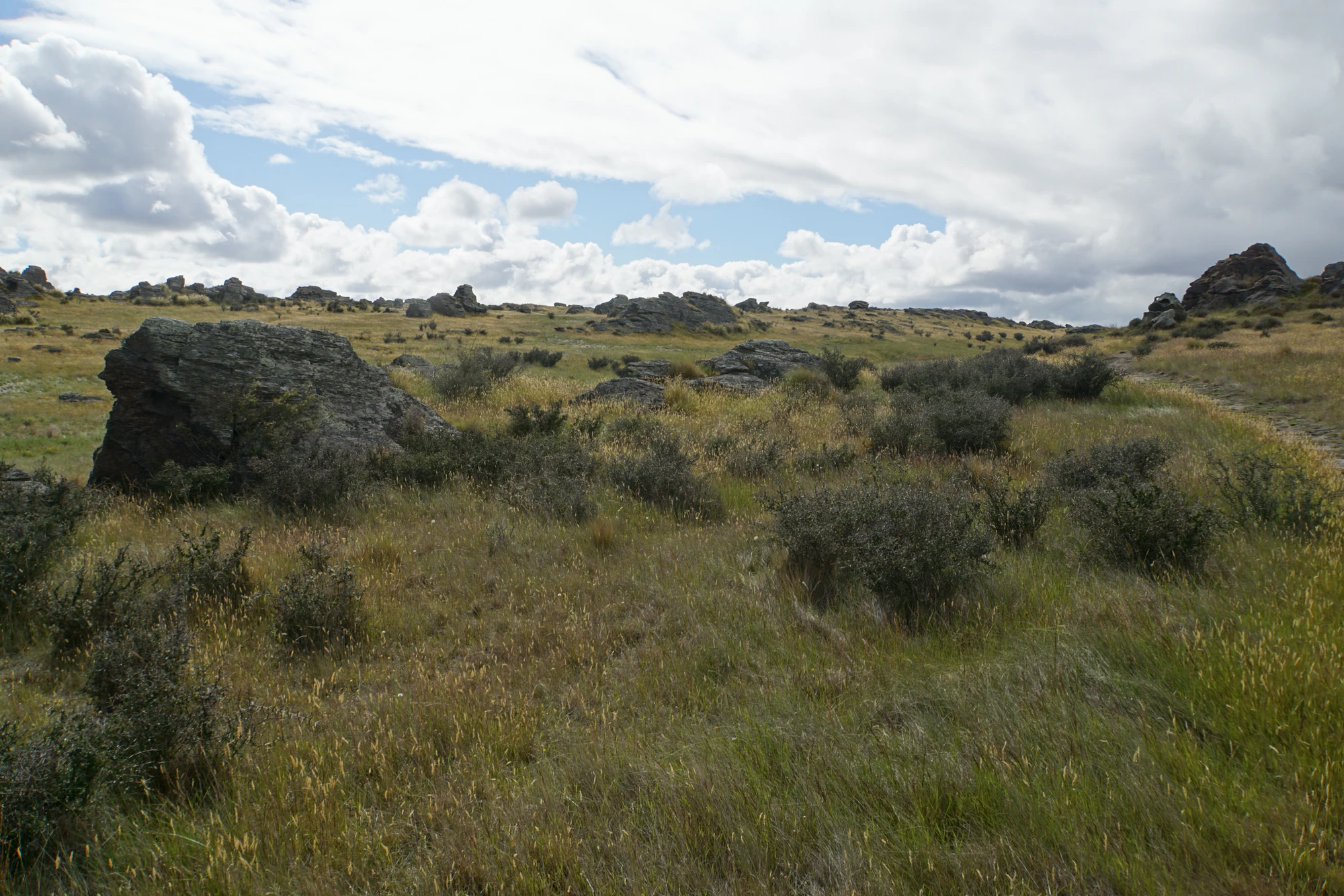 dry field rocks 165 — Скачать