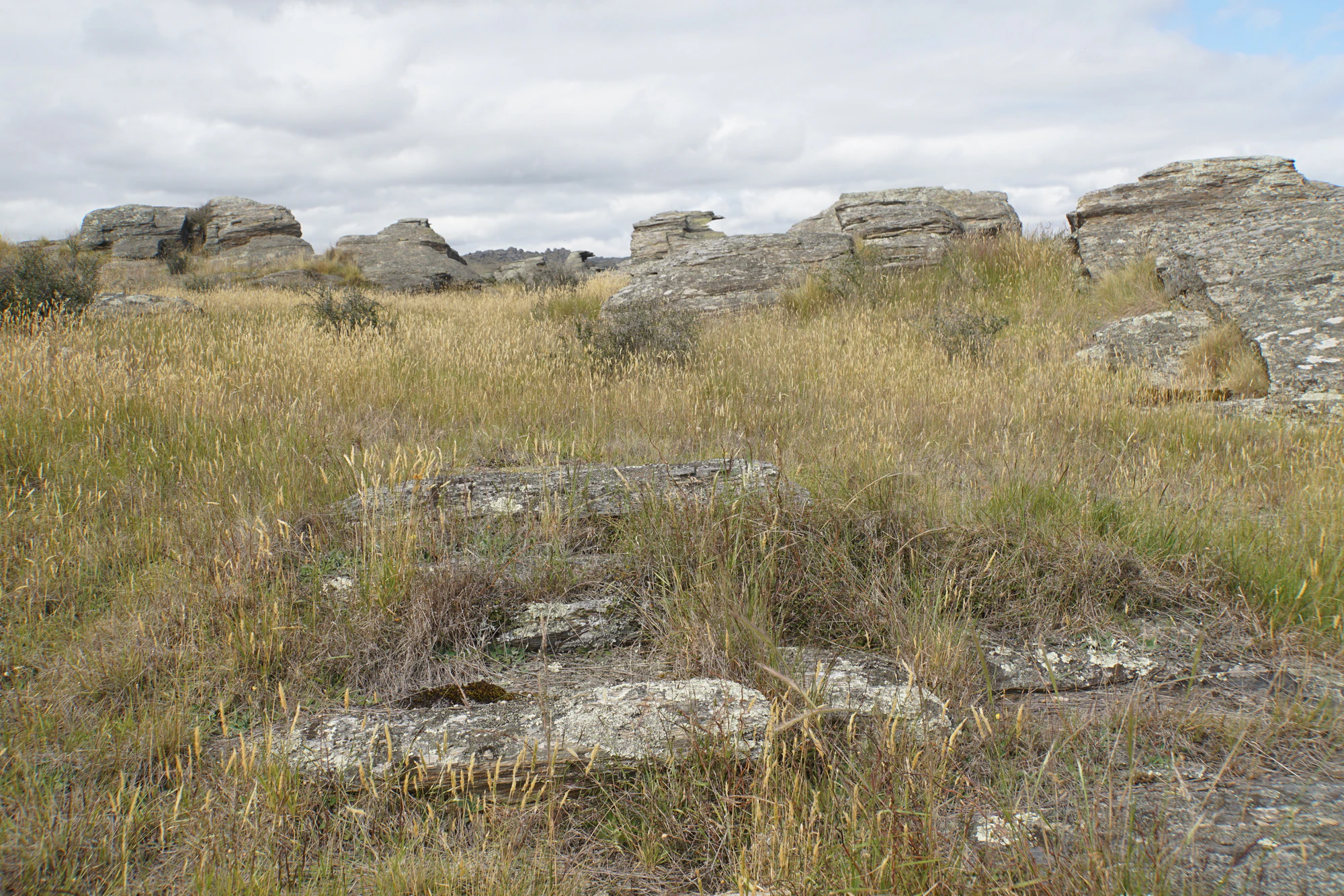 dry field rocks 172 — Скачать