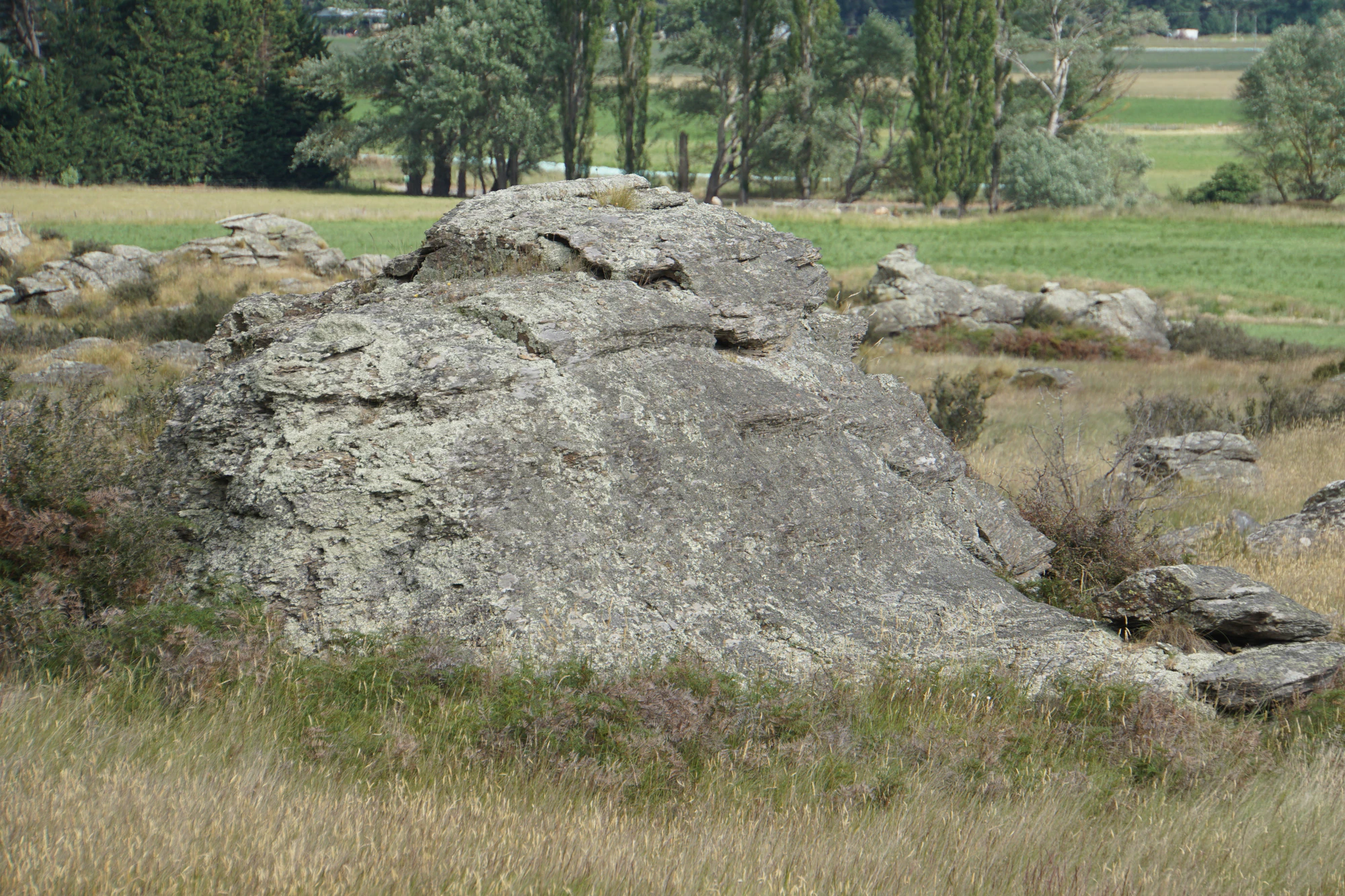 dry field rocks 174 — Download