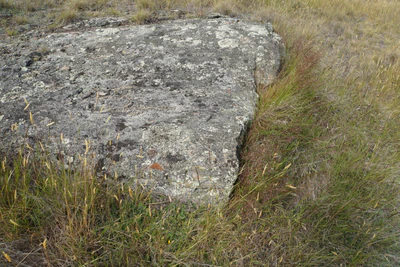 dry field rocks 175 — download