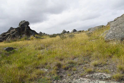 dry field rocks 178 — download