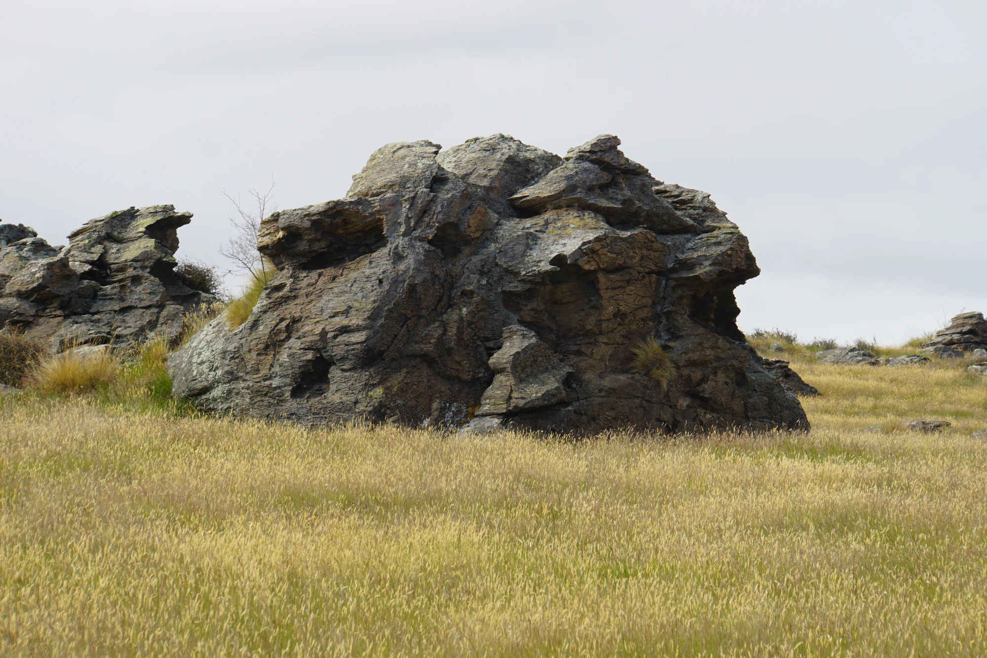 dry field rocks 182 — Download