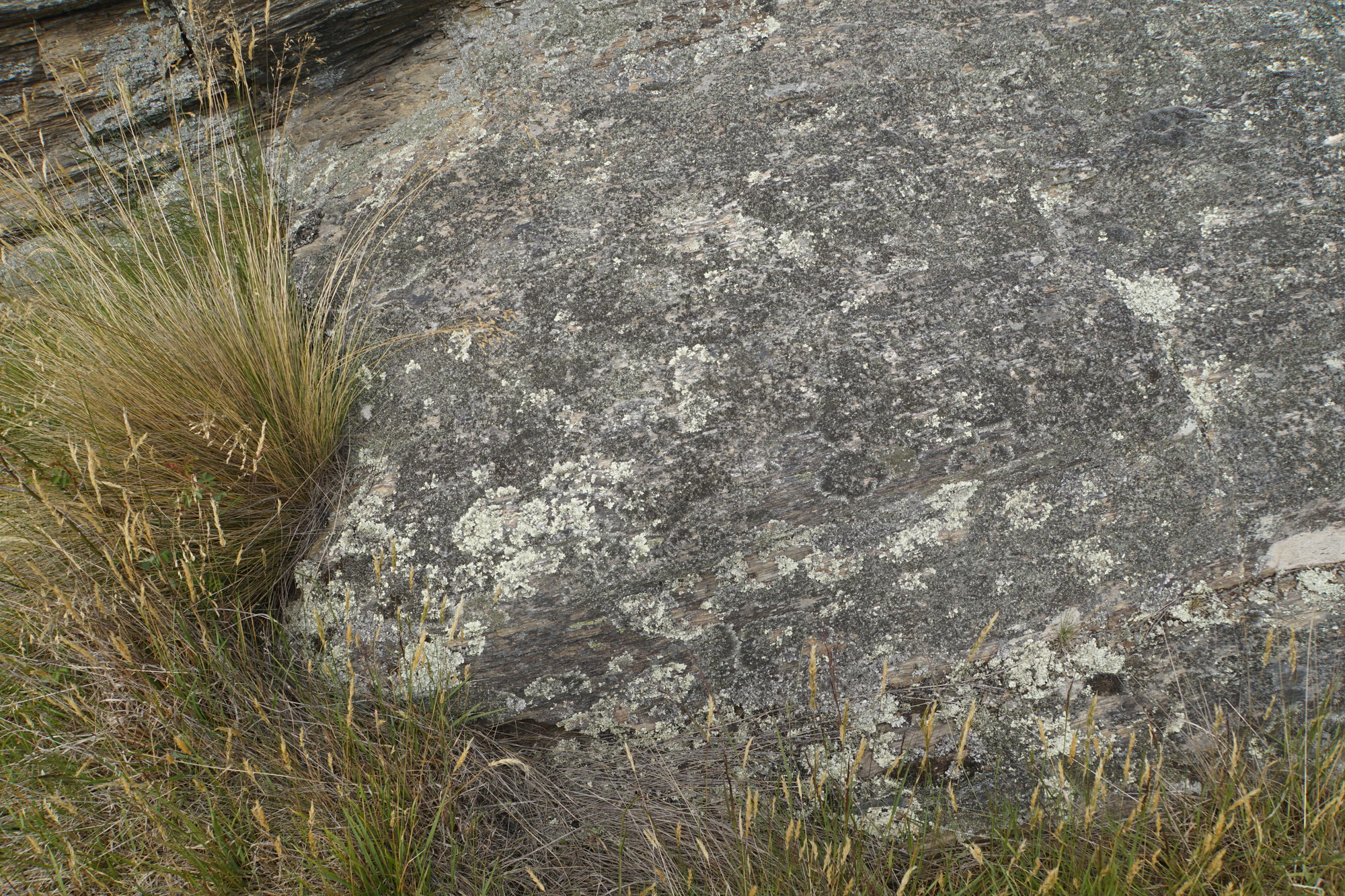 dry field rocks 184 — Скачать