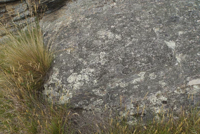 dry field rocks 184 — download