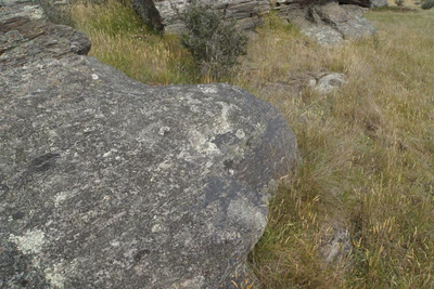 dry field rocks 185 — download