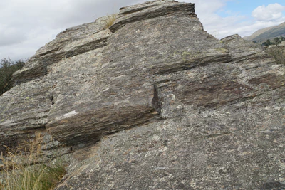 dry field rocks 186 — download