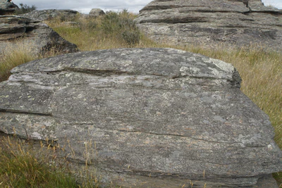 dry field rocks 193 — download