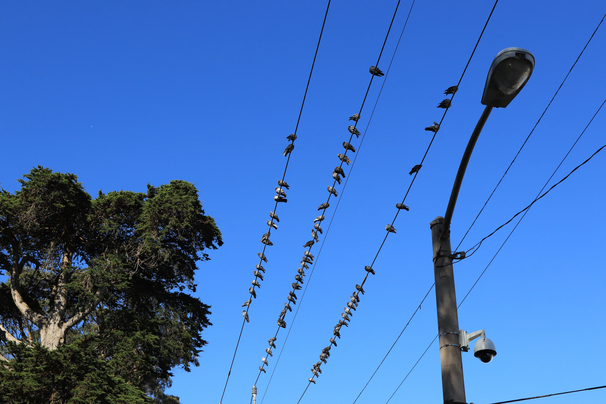 san francisco union square to haight-ashbury 047 — Скачать