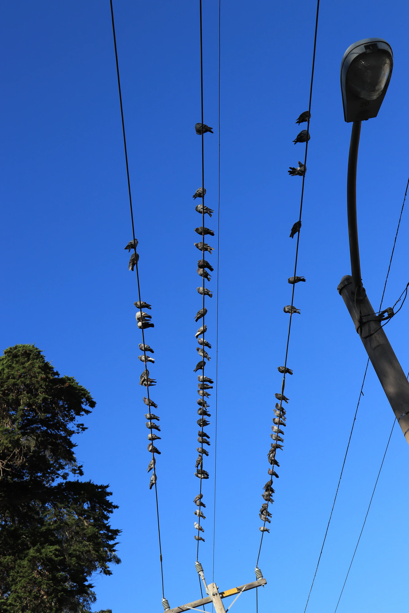 san francisco union square to haight-ashbury 048 — Скачать