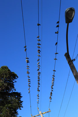 san francisco union square to haight-ashbury 048 — скачать